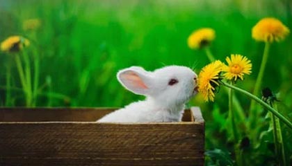 广西“奔驰亮证姐”引爆舆论 网友为何不信官方通报？