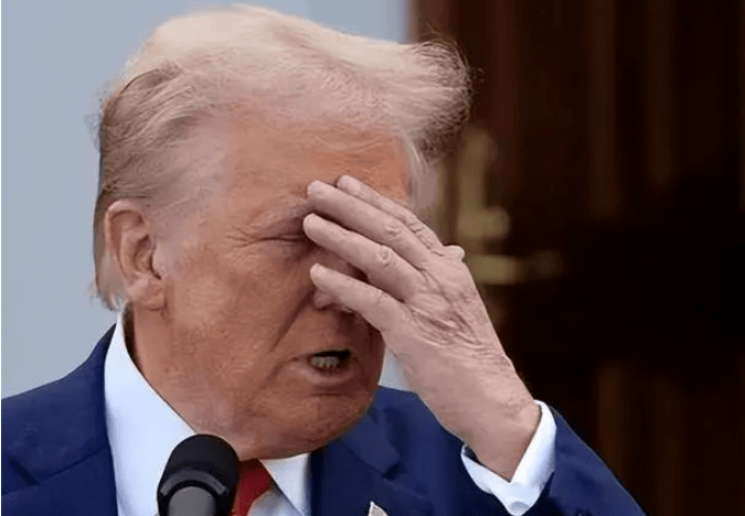 不服美国的国家出现了，宣布对美征50%关税，特朗普担忧的来了