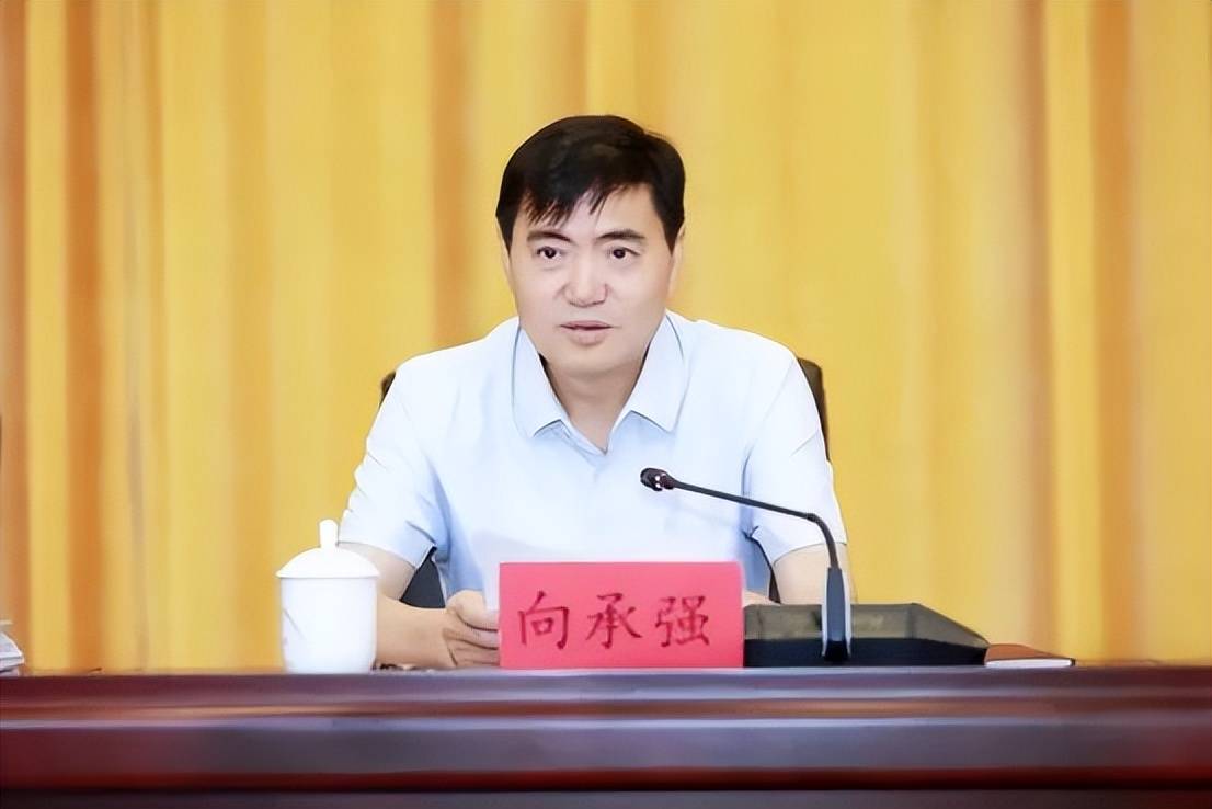 中央巡视期间，3名正厅任上被查