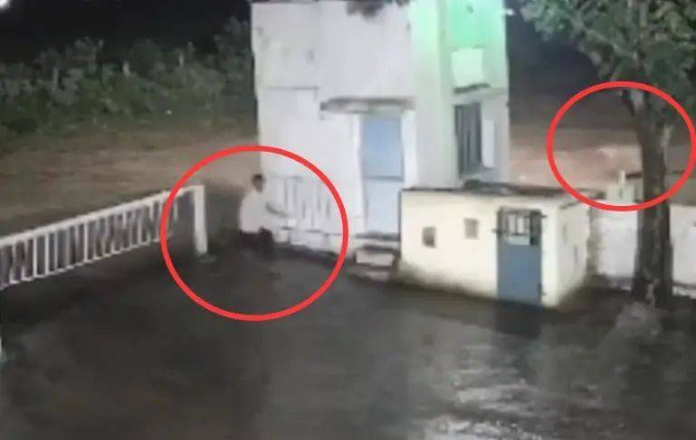 印度一男子后院与狮子相逢，双方都被吓懵，狮子扭身先逃