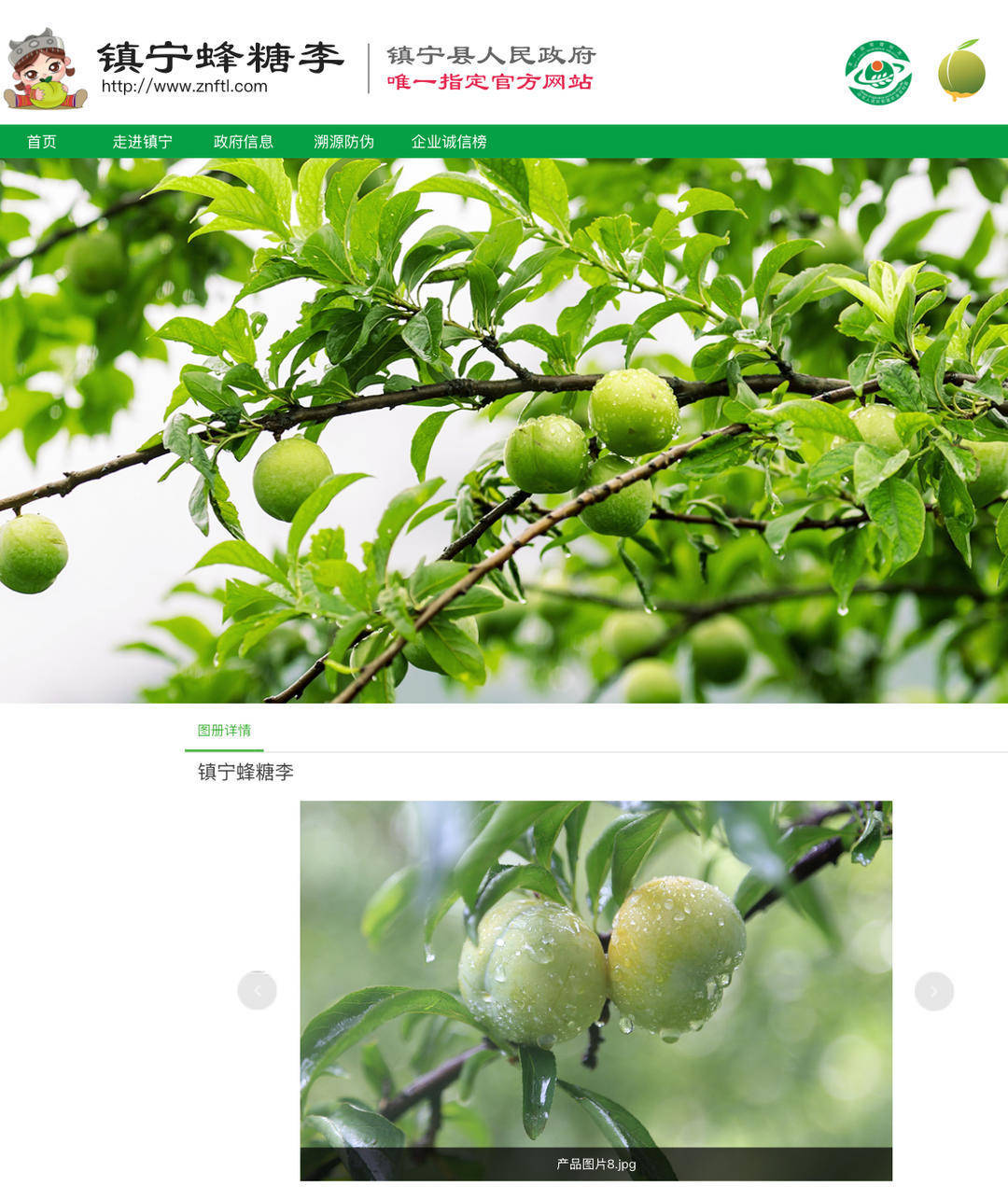 成都街头9.8元/斤的“蜂糖李”其实是青脆李？专家：存在以次充好情况，注意辨认｜追踪到底