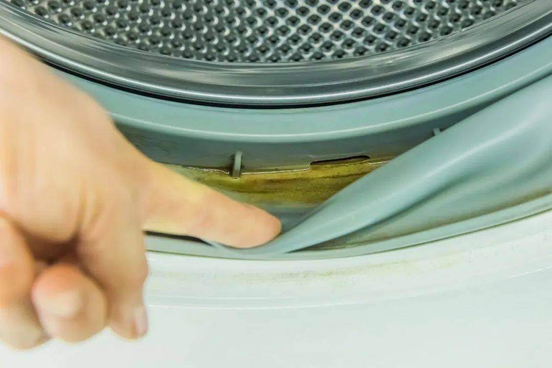 家里一旦出现这种小黑点，身体多个部位要遭殃！快看看你家有没有