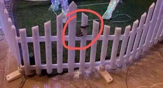 酒店大堂发现剧毒蛇，小孩以为是假蛇还摸了蛇头，涉事酒店回应：已放生，酒店增设驱蛇装置