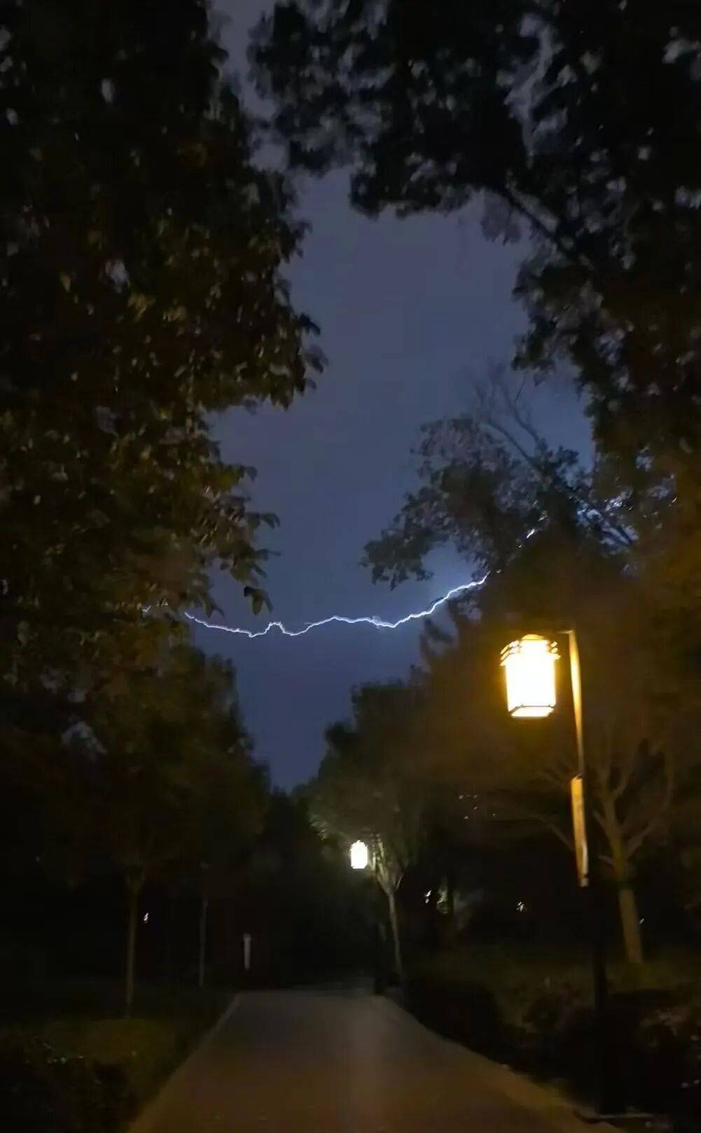 知名女主持人自曝：我雷暴哮喘了！太原这家医院急诊数小时内曾接诊400多人，近期高发