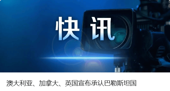 中方奉劝以色列议员:如不悬崖勒马,必将摔得粉身碎骨