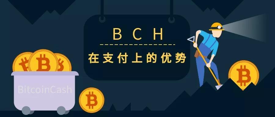 比特现金平台(比特现金平台官网)